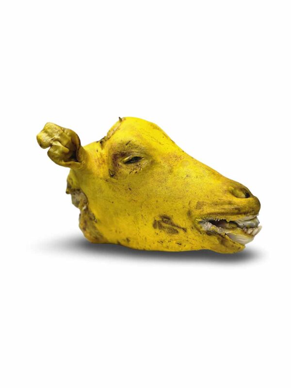 Mutton Tauko